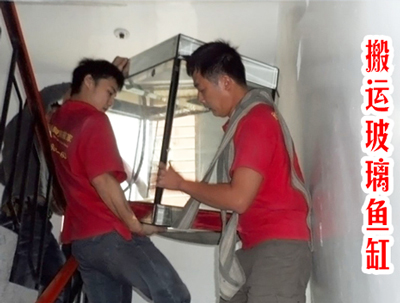 搬运玻璃鱼缸、养热带鱼玻璃鱼缸运输及搬运